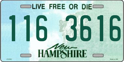 NH license plate 1163616