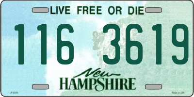 NH license plate 1163619