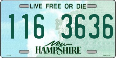 NH license plate 1163636