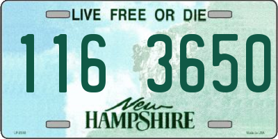 NH license plate 1163650