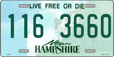 NH license plate 1163660