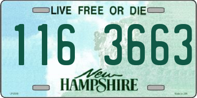 NH license plate 1163663