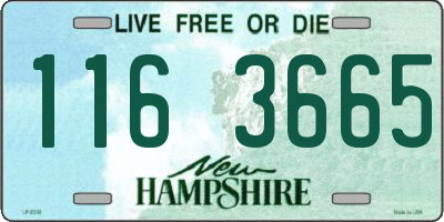 NH license plate 1163665