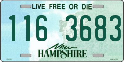 NH license plate 1163683
