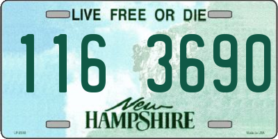NH license plate 1163690