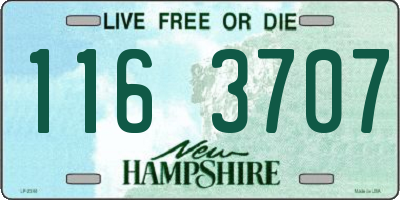 NH license plate 1163707