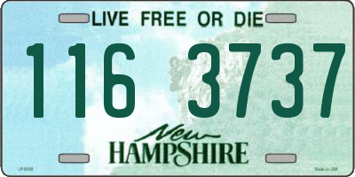 NH license plate 1163737