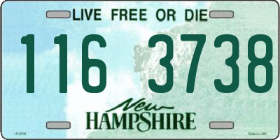 NH license plate 1163738