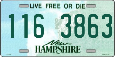 NH license plate 1163863