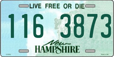NH license plate 1163873