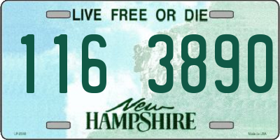 NH license plate 1163890