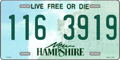 NH license plate 1163919