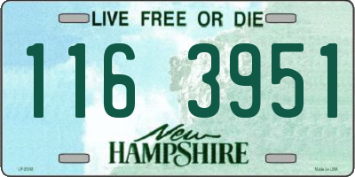 NH license plate 1163951