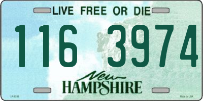 NH license plate 1163974