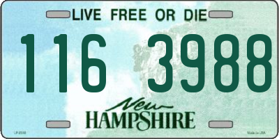 NH license plate 1163988