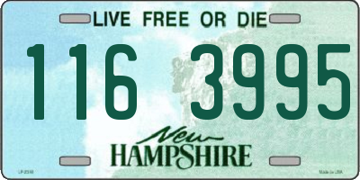 NH license plate 1163995