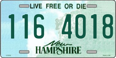 NH license plate 1164018