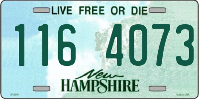 NH license plate 1164073