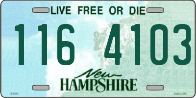 NH license plate 1164103