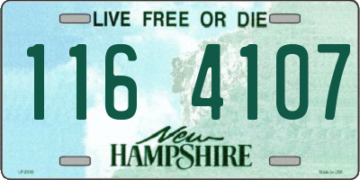 NH license plate 1164107