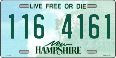 NH license plate 1164161