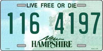 NH license plate 1164197