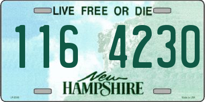 NH license plate 1164230