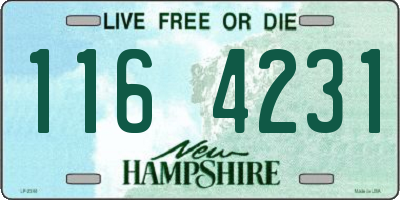NH license plate 1164231