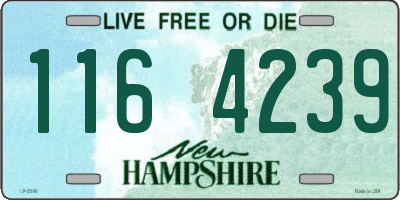 NH license plate 1164239