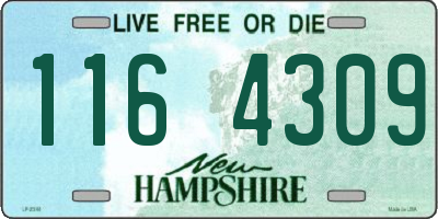 NH license plate 1164309