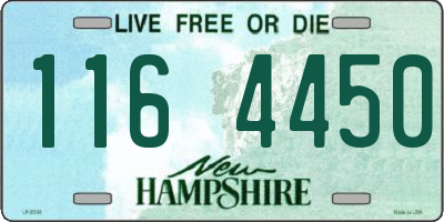 NH license plate 1164450