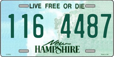 NH license plate 1164487