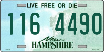 NH license plate 1164490