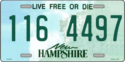 NH license plate 1164497