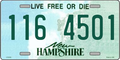 NH license plate 1164501