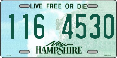 NH license plate 1164530