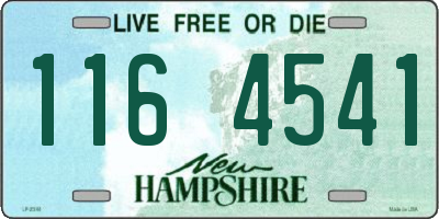NH license plate 1164541