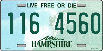 NH license plate 1164560