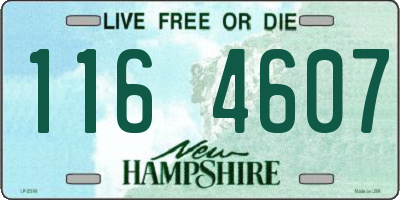 NH license plate 1164607