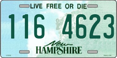 NH license plate 1164623