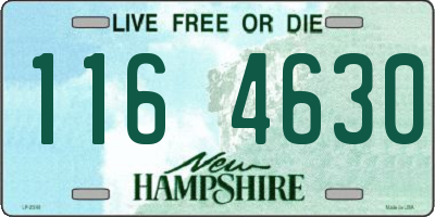 NH license plate 1164630
