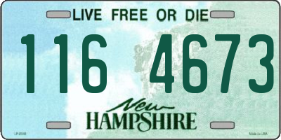NH license plate 1164673