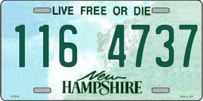 NH license plate 1164737