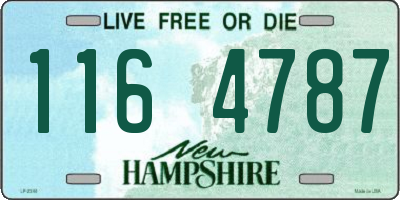 NH license plate 1164787