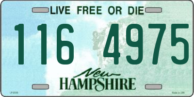 NH license plate 1164975