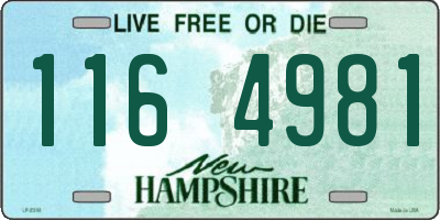 NH license plate 1164981