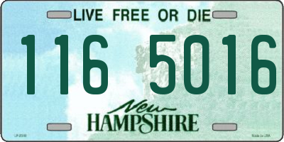NH license plate 1165016