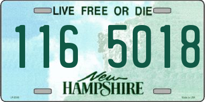 NH license plate 1165018
