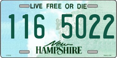 NH license plate 1165022
