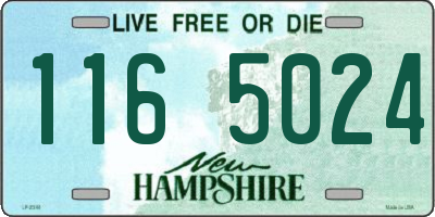NH license plate 1165024